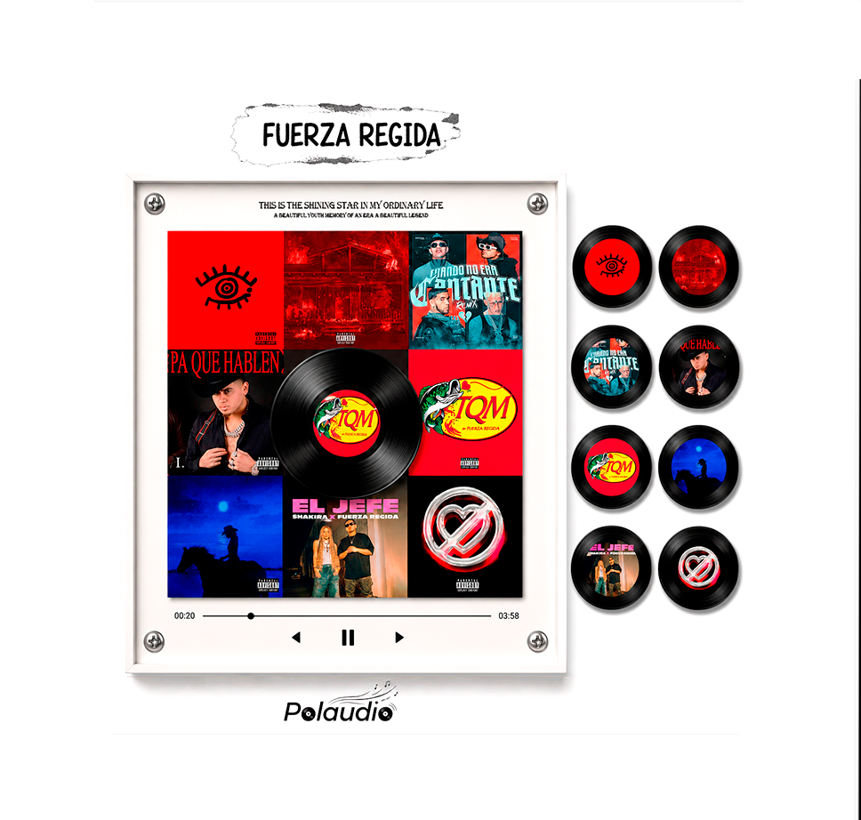 Polaudio - Reproductor de Discos NFC